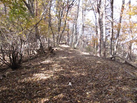 20161117hike (77)